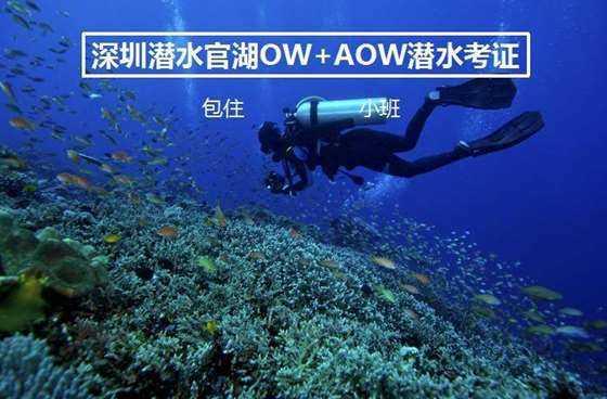 1月26日美股成交额前20：特斯拉在美召回200万辆电动车